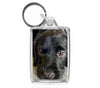 Personalised Medium Keyring | 50mm x 35mm
