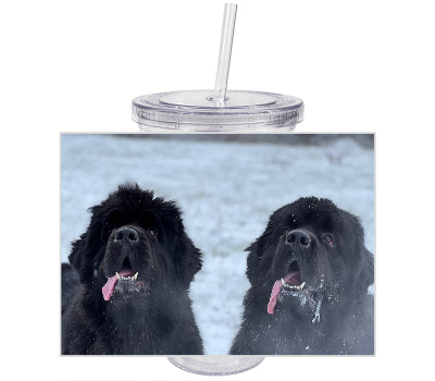 Pixly® Personalised Photo Tumbler & Straw | 650ml
