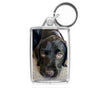 Personalised Medium Keyring | 50mm x 35mm