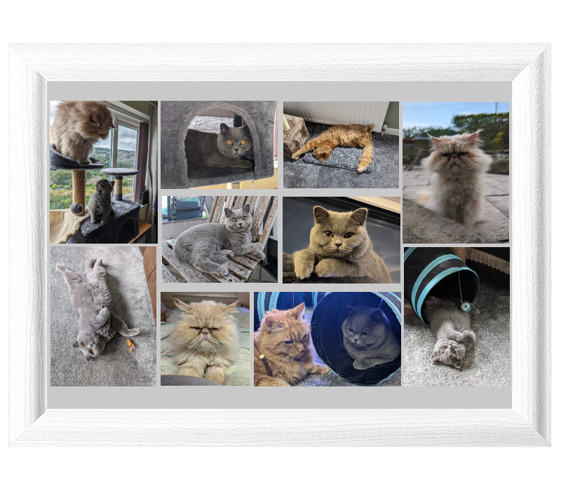 Personalised Photo Lap Tray | Rounded White