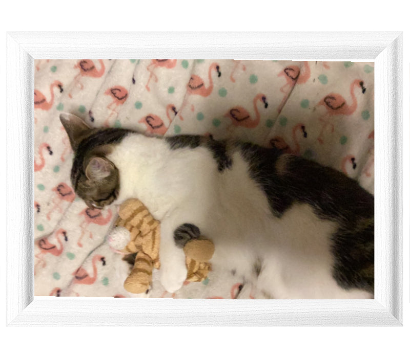 Personalised Photo Lap Tray | Rounded White