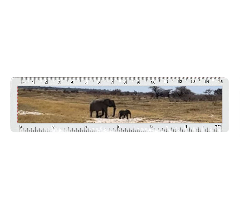 Personalised Photo Ruler | 15cm